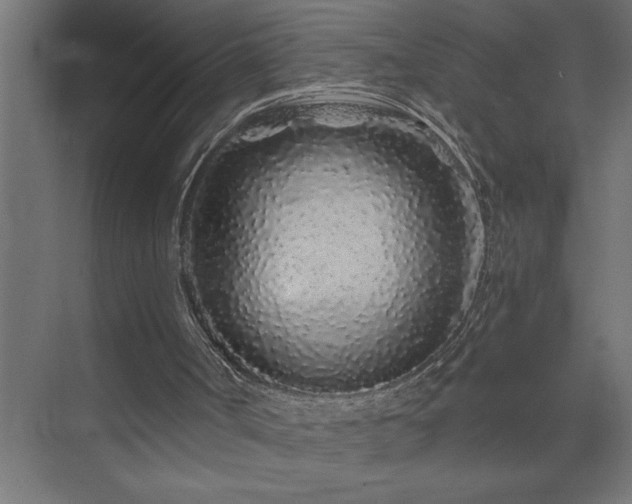 X0000074280002200608251330