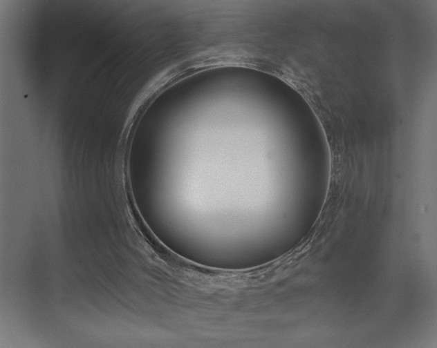 X0000074280004200608251330