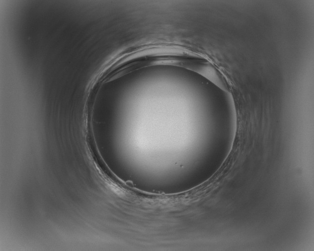 X0000074280005200608251330