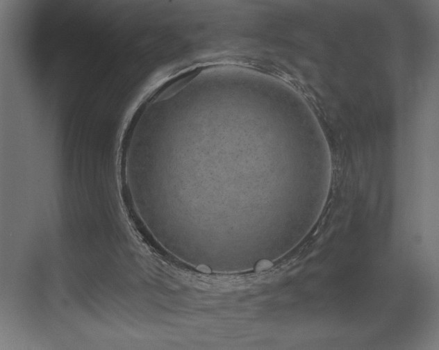 X0000074280006200608251330