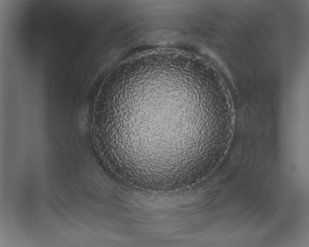 X0000074280018200608251330