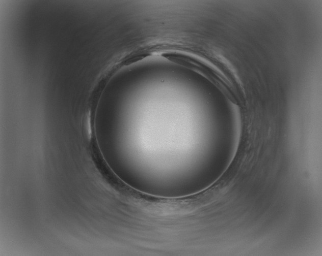 X0000074280020200608251330