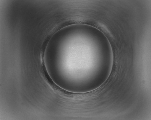 X0000074280021200608251330