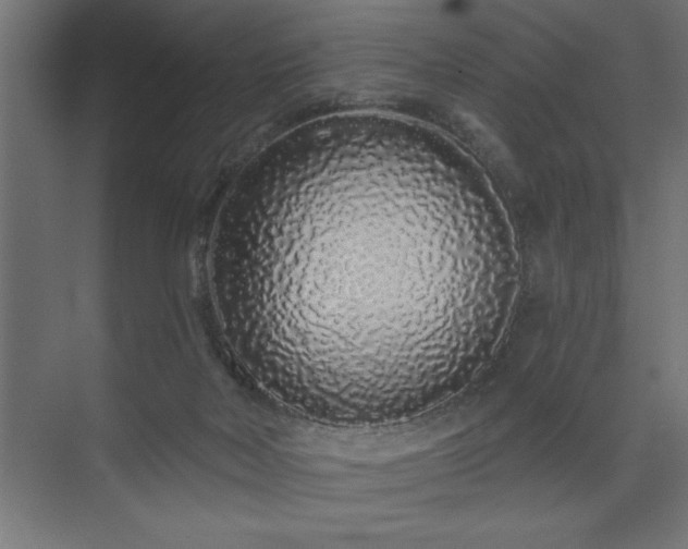 X0000074280026200608251330