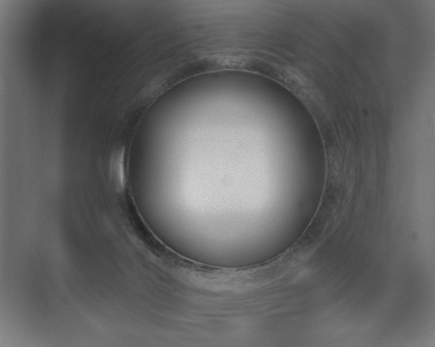 X0000074280028200608251330