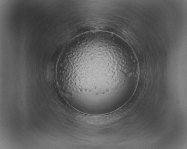 X0000074280030200608251330