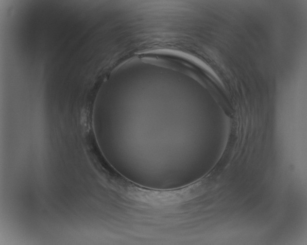 X0000074280031200608251330