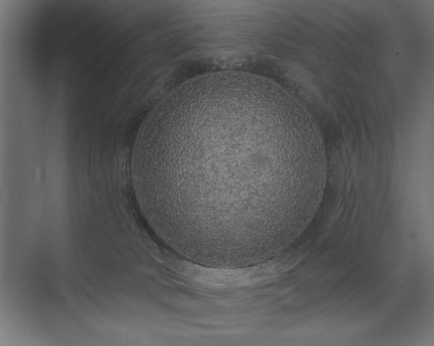 X0000074280034200608251330