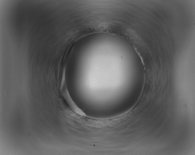 X0000074280037200608251330