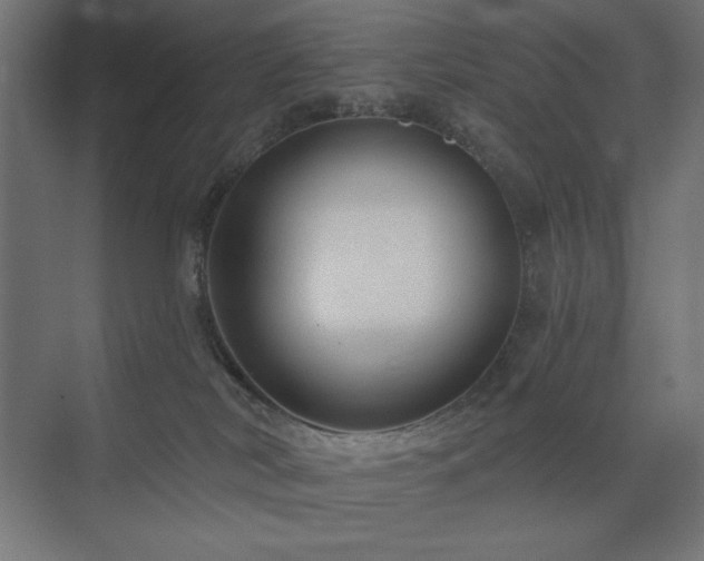 X0000074280038200608251330