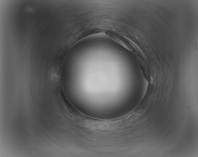 X0000074280040200608251330