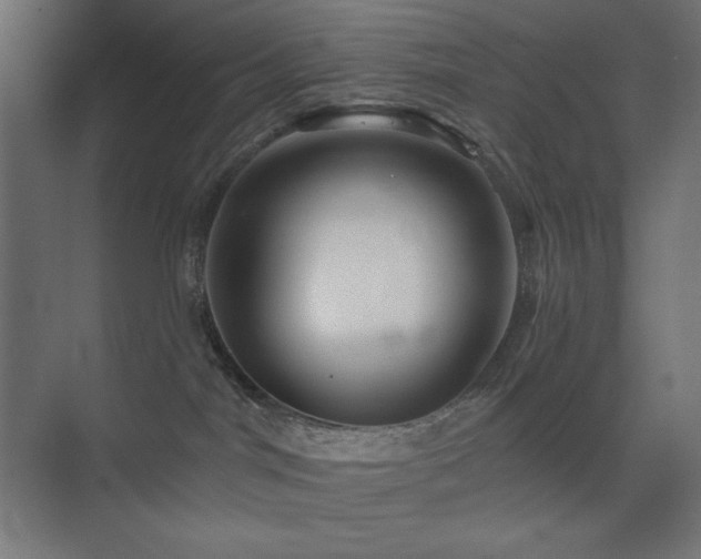 X0000074280044200608251330