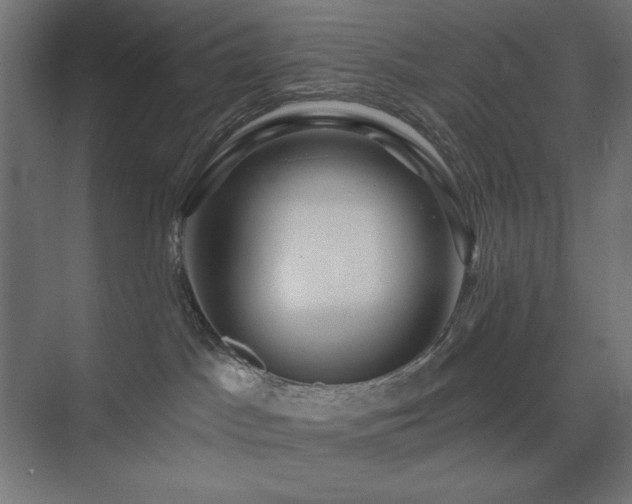 X0000074280045200608251330