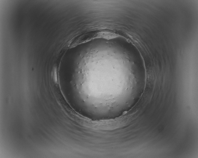 X0000074280046200608251330