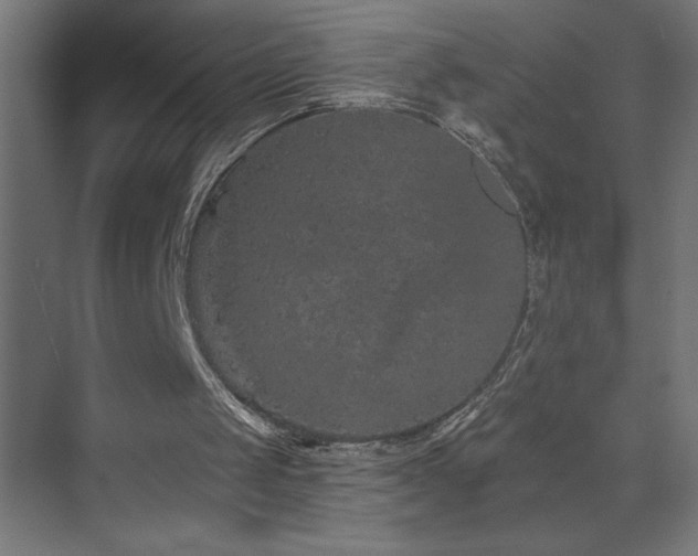 X0000074280049200608251329