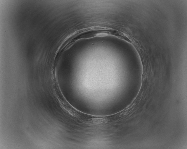 X0000074280050200608251329