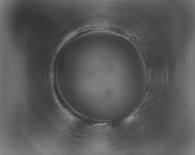 X0000074280054200608251329