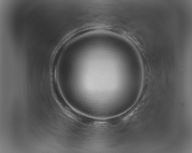 X0000074280055200608251329