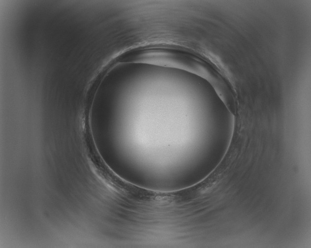 X0000074280060200608251329