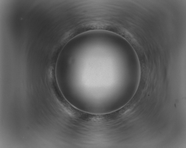 X0000074280071200608251329