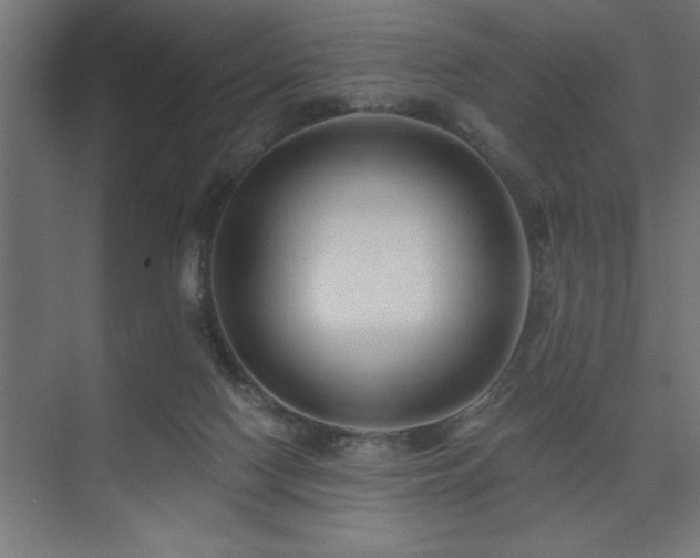 X0000074280074200608251329