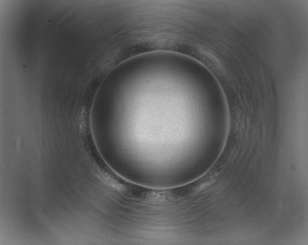 X0000074280077200608251329