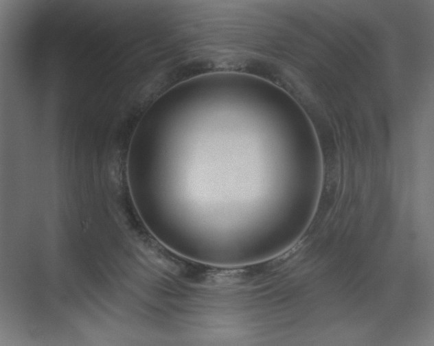 X0000074280078200608251329
