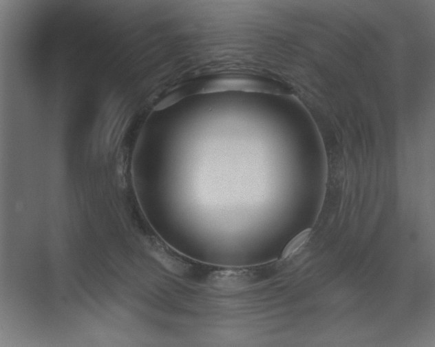 X0000074280082200608251329