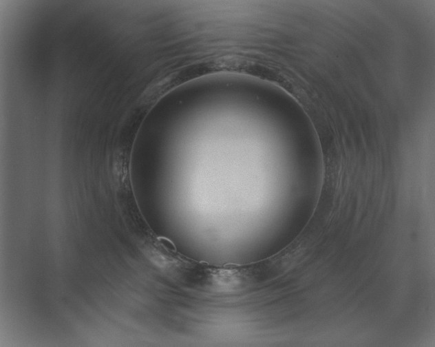 X0000074280091200608251329