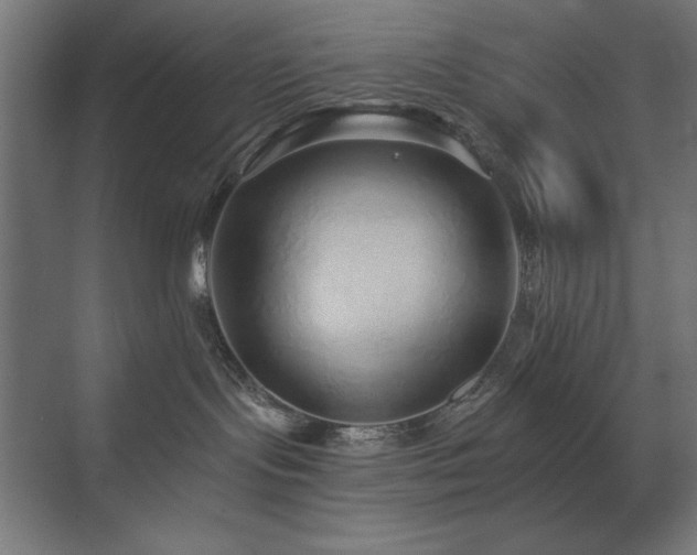 X0000074280095200608251329