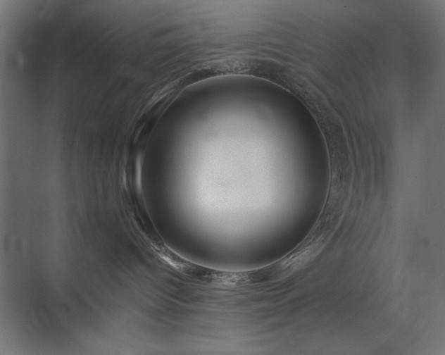 X0000074280096200608251329