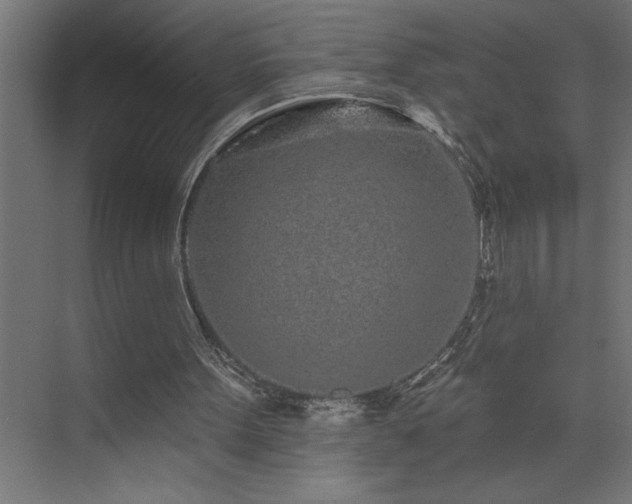 X0000074280099200608251329