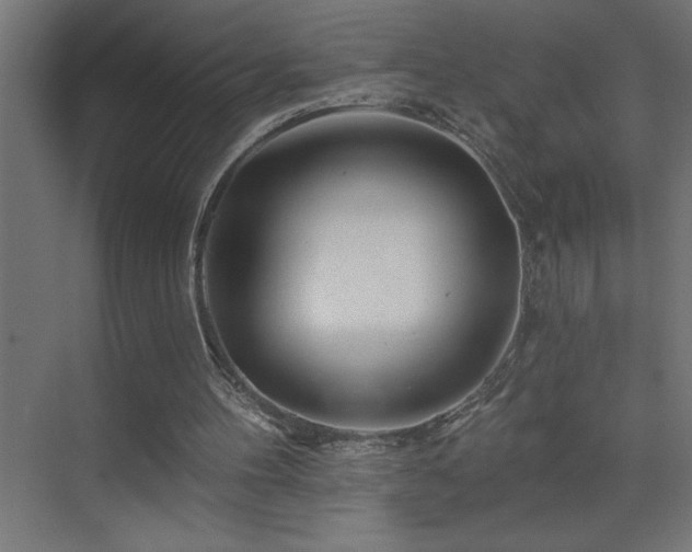 X0000074280100200608251329