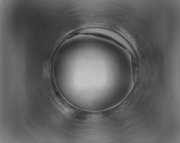 X0000074280107200608251328