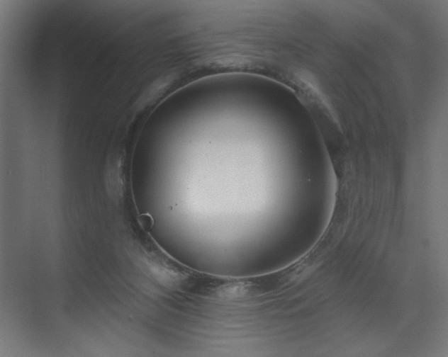 X0000074280116200608251328