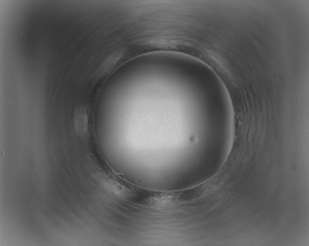 X0000074280120200608251328