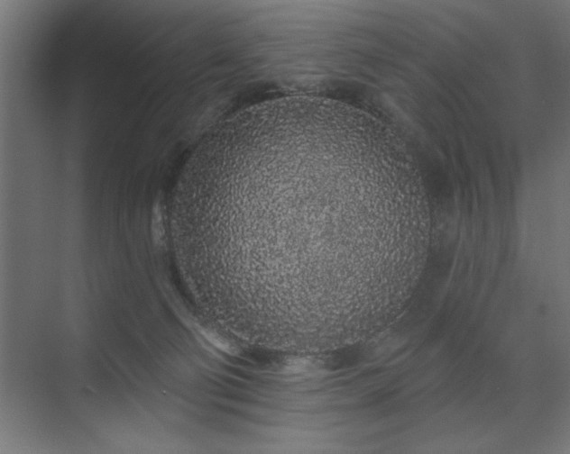 X0000074280130200608251328