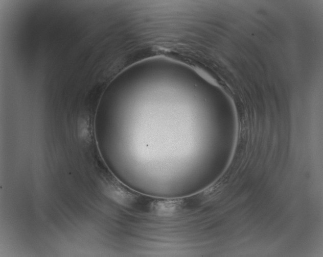 X0000074280134200608251328
