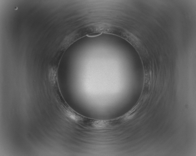 X0000074280142200608251328