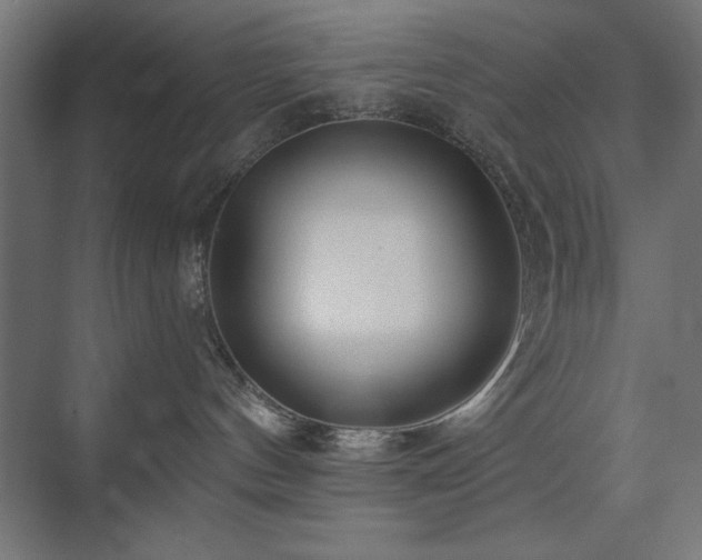 X0000074280144200608251328