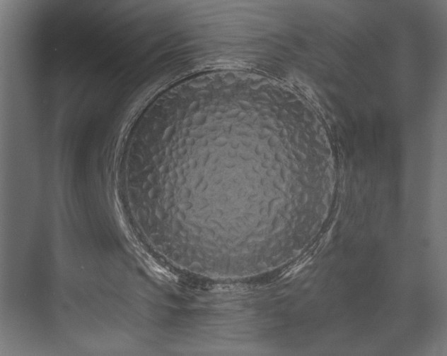 X0000074280145200608251327