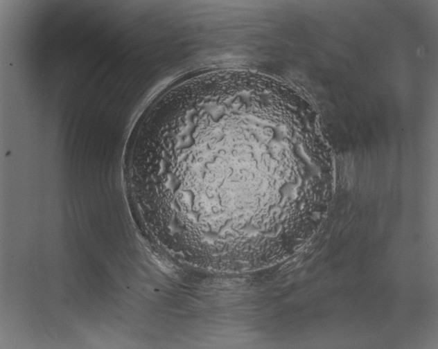 X0000074280147200608251327