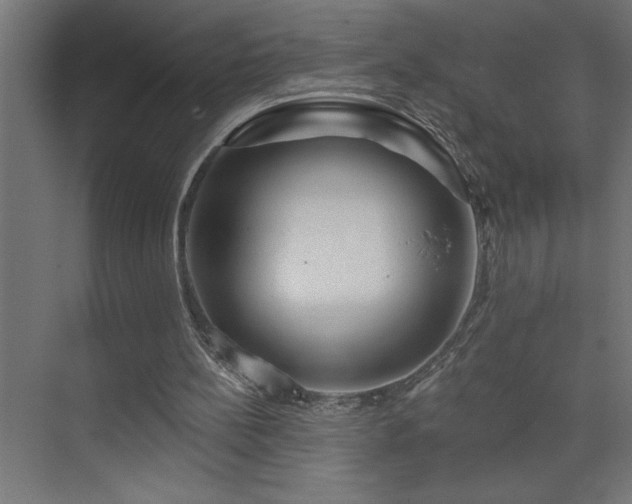 X0000074280148200608251327