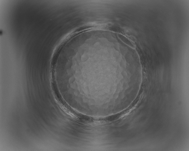 X0000074280149200608251327