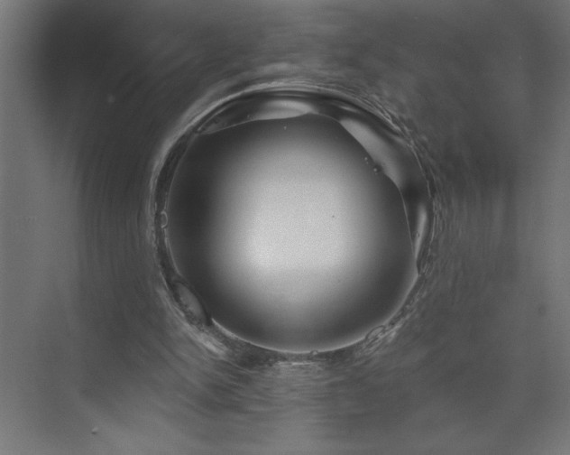 X0000074280150200608251327