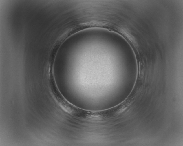 X0000074280157200608251327