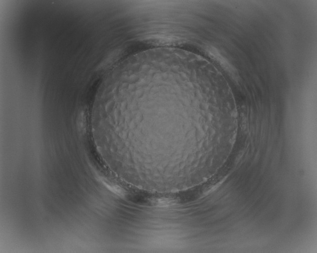 X0000074280165200608251327