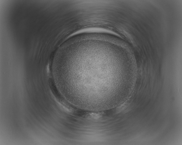 X0000074280166200608251327