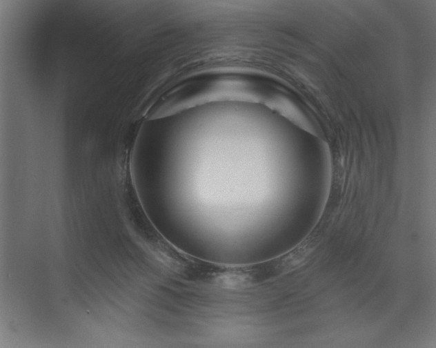 X0000074280168200608251327