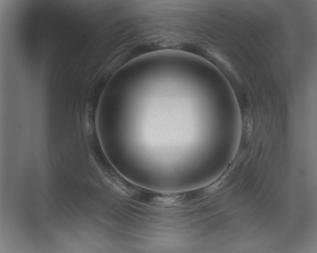 X0000074280170200608251327